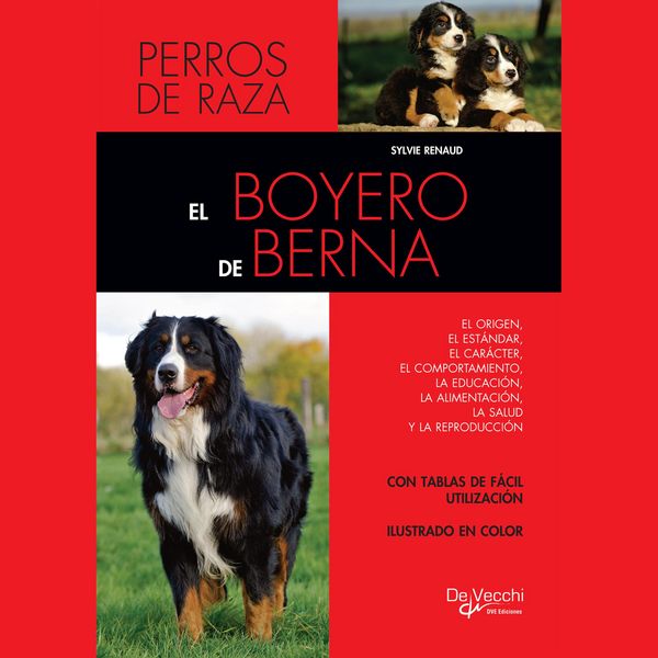 Produktbild: El boyero de Berna