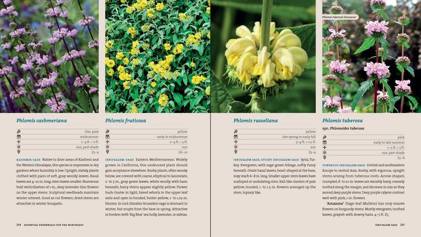 Produktbild: Perennials for the Pacific Northwest