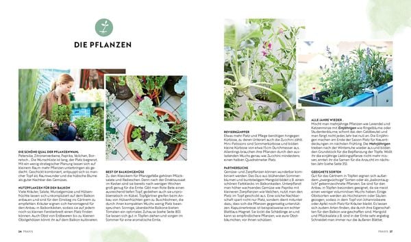 Produktbild: Mein Biobalkon