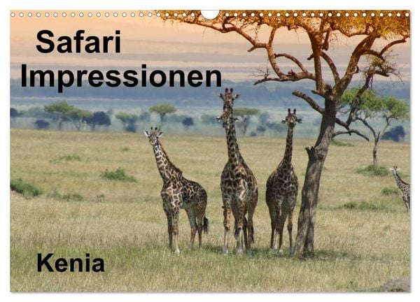 Produktbild: Safari Impressionen / Kenia (Wandkalender 2026 DIN A3 quer), CALVENDO Monatskalender