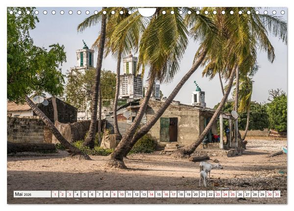 Produktbild: Westafrika - The Gambia (Wandkalender 2026 DIN A4 quer), CALVENDO Monatskalender