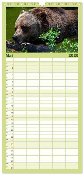 Produktbild: Familienplaner 2026 - Grizzlys und Geisterb&auml;ren - Glendale Cove, Kanada mit 5 Spalten (Wandkalender, 21 x 45 cm) CALVENDO