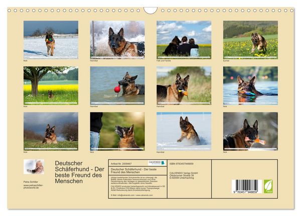 Produktbild: Deutscher Sch&auml;ferhund - Der beste Freund des Menschen (Wandkalender 2026 DIN A3 quer), CALVENDO Monatskalender