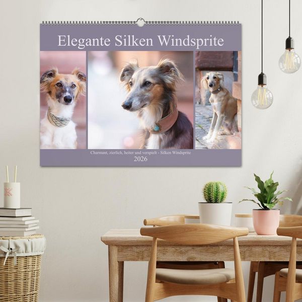 Produktbild: Elegante Silken Windsprite (Wandkalender 2026 DIN A2 quer), CALVENDO Monatskalender