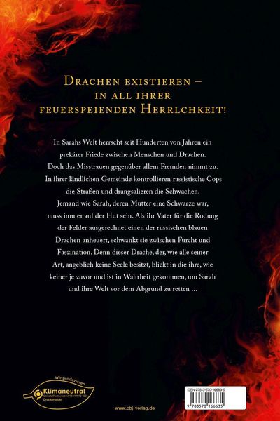 Produktbild: Burn  Die Welt brennt wie Feuer