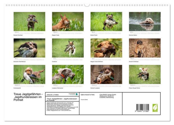 Produktbild: Treue Jagdgef&auml;hrten - Jagdhunderassen im Portrait (hochwertiger Premium Wandkalender 2026 DIN A2 quer), Kunstdruck in Hochglanz