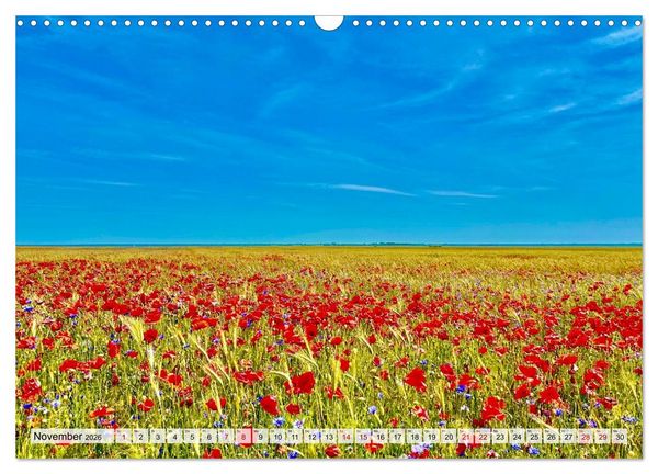 Produktbild: Fischland: zwischen Ostsee und Bodden (Wandkalender 2026 DIN A3 quer), CALVENDO Monatskalender