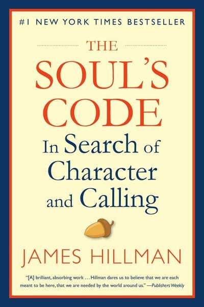 Produktbild: The Soul's Code
