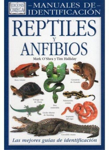 Produktbild: Reptiles y anfibios : manuales de identificaci&oacute;n