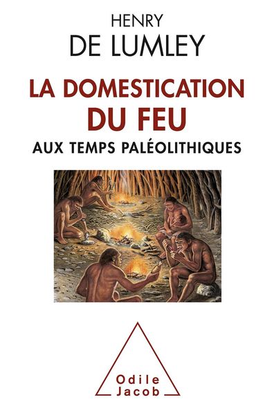 Produktbild: La Domestication du feu aux temps paleolithiques