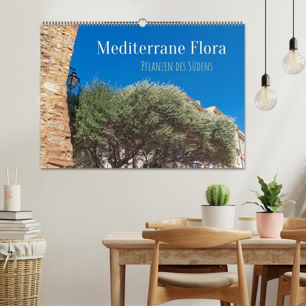 Produktbild: Mediterrane Flora - Pflanzen des S&uuml;dens (Wandkalender 2026 DIN A2 quer), CALVENDO Monatskalender