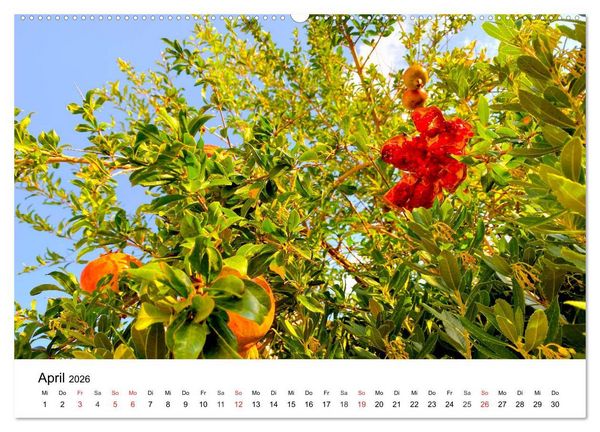 Produktbild: Wandern auf Menorca (Wandkalender 2026 DIN A2 quer), CALVENDO Monatskalender