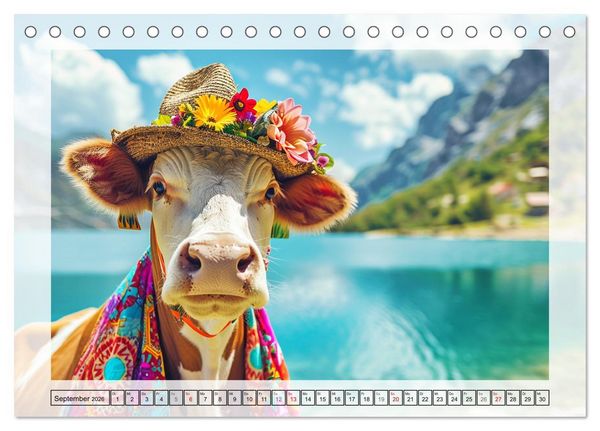 Produktbild: Haute Kuh-ture f&uuml;r das Rind von Welt! Modische K&uuml;he voll im Trend (Tischkalender 2026 DIN A5 quer), CALVENDO Monatskalender