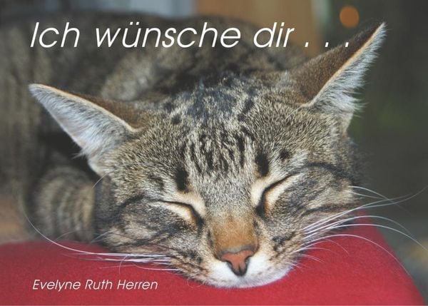 Produktbild: Ich w&uuml;nsche dir ...