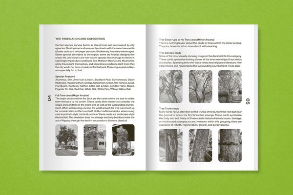 Produktbild: New York City Street Tree Tarot