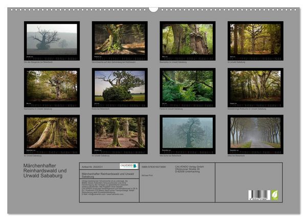 Produktbild: M&auml;rchenhafter Reinhardswald und Urwald Sababurg (Wandkalender 2026 DIN A2 quer), CALVENDO Monatskalender