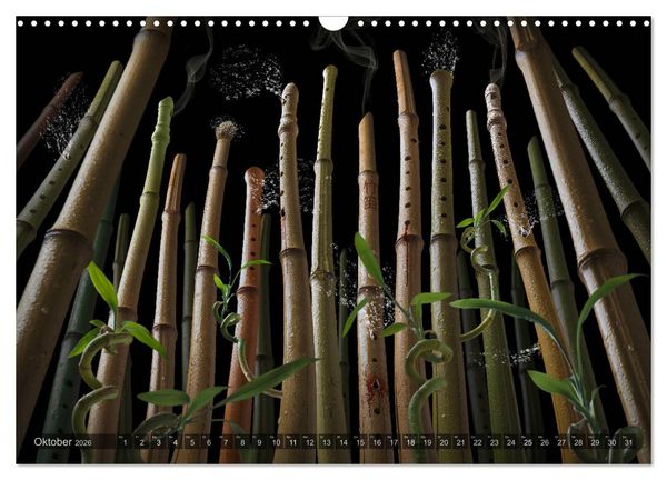 Produktbild: Musica fant&aacute;sia - Die wundersame Welt des Fotok&uuml;nstlers Olaf Bruhn (Wandkalender 2026 DIN A3 quer), CALVENDO Monatskalender
