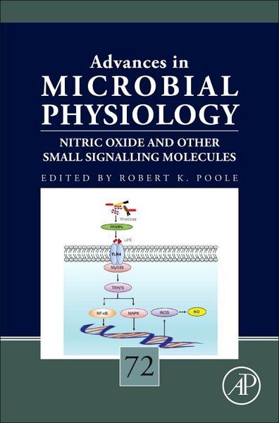 Produktbild: Nitric Oxide and Other Small Signalling Molecules