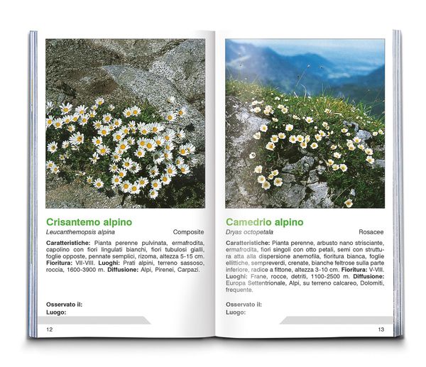 Produktbild: Fiori alpini