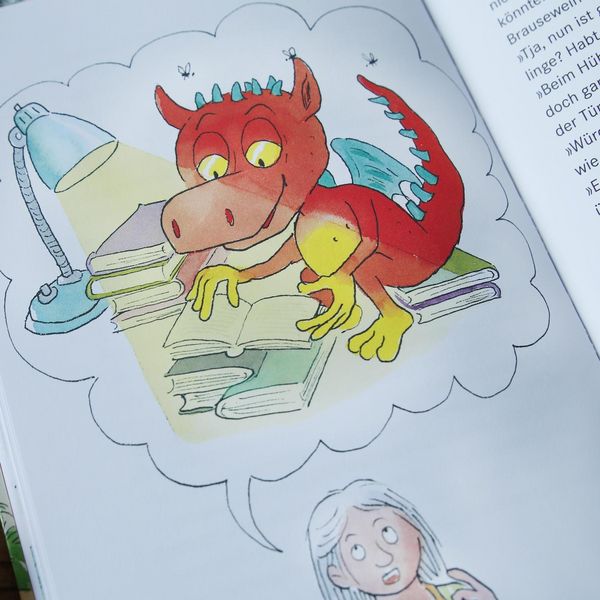 Produktbild: Die Olchis im Land der Drachen