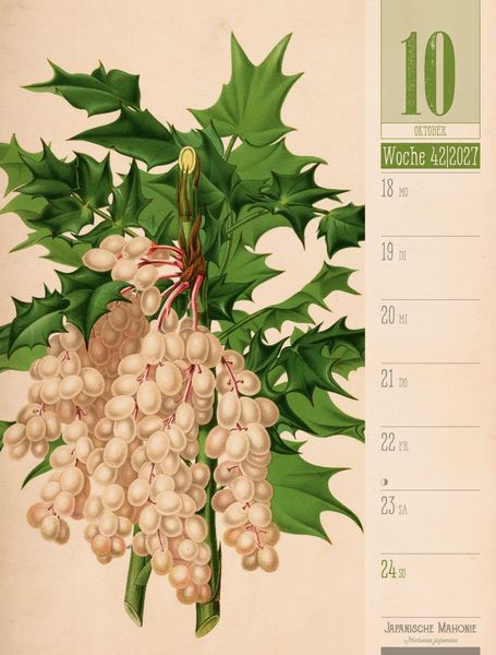 Produktbild: Culinarium Wochenplaner Kalender 2027 | K&uuml;che, Kr&auml;uter, Kurioses
