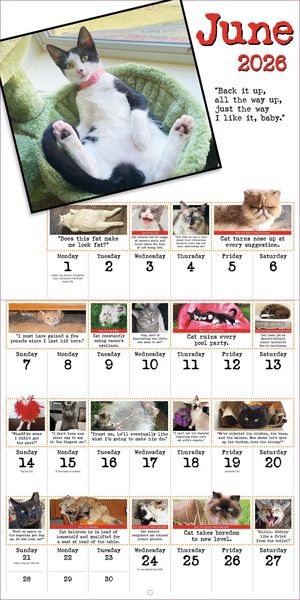 Produktbild: Bad Cat Wall Calendar 2026