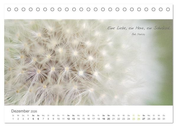 Produktbild: Rendezvous im Park (Tischkalender 2026 DIN A5 quer), CALVENDO Monatskalender