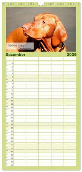 Produktbild: Familienplaner 2026 - Magyar Vizsla - Zauberhafte Kobolde mit 5 Spalten (Wandkalender, 21 x 45 cm) CALVENDO