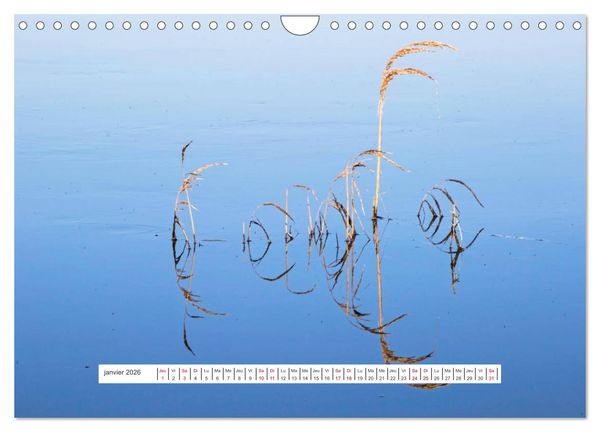 Produktbild: J'adore Le Cotentin (Calendrier mural 2026 DIN A4 vertical), CALVENDO calendrier mensuel