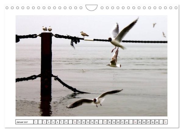Produktbild: Nordseefeeling - Cuxhaven (Wandkalender 2027 DIN A4 quer), CALVENDO Monatskalender