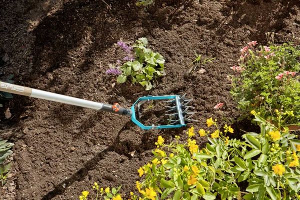 Produktbild: GARDENA combisystem 03195-20 Sternfr&auml;se mit J&auml;temesser 14cm