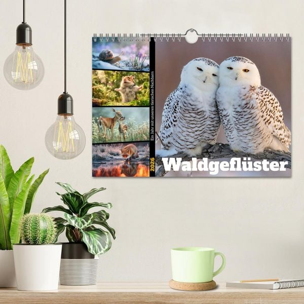 Produktbild: Waldgefl&uuml;ster (Wandkalender 2026 DIN A4 quer), CALVENDO Monatskalender