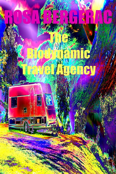 Produktbild: The Biodynamic Travel Agency (A Gold Story, #3)