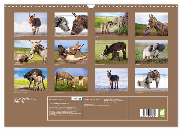 Produktbild: Little Donkey with Friends (Wall Calendar 2026 DIN A3 landscape), CALVENDO 12 Month Wall Calendar