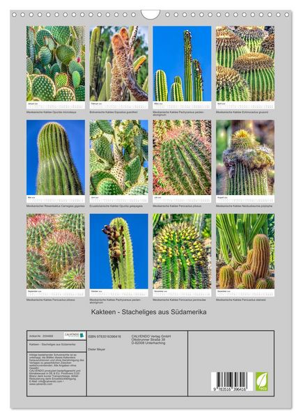 Produktbild: Kakteen - Stacheliges aus S&uuml;damerika (Wandkalender 2026 DIN A3 hoch), CALVENDO Monatskalender