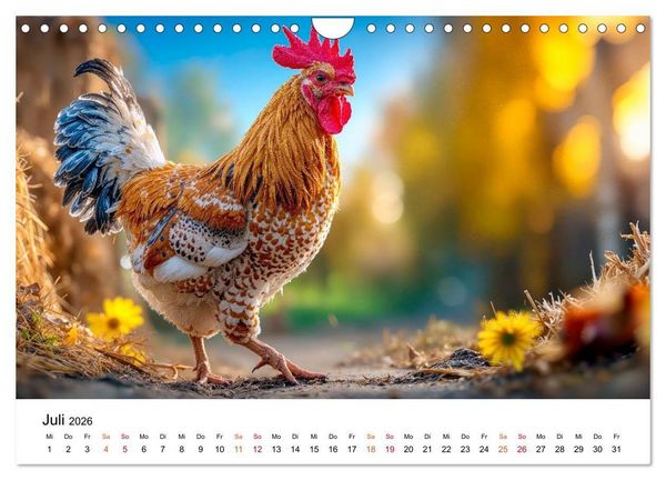 Produktbild: H&uuml;hner - gefiedert durchs Jahr (Wandkalender 2026 DIN A4 quer), CALVENDO Monatskalender