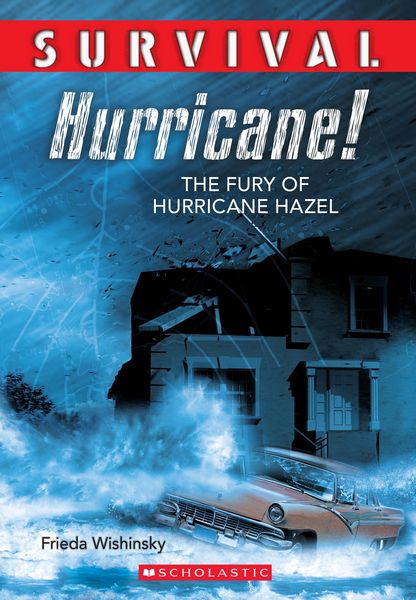 Produktbild: Survival: Hurricane!