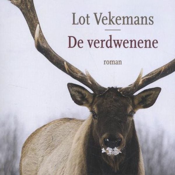 Produktbild: De verdwenene