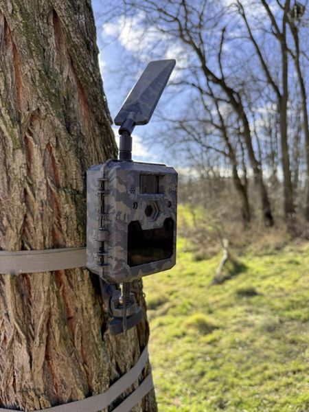 Produktbild: ICU CLOM Cam6 Wildkamera Camouflage