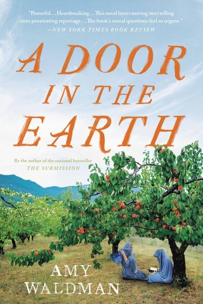 Produktbild: A Door in the Earth