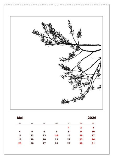 Produktbild: LignoGrafica - Muster und Strukturen der B&auml;ume (Wandkalender 2026 DIN A2 hoch), CALVENDO Monatskalender