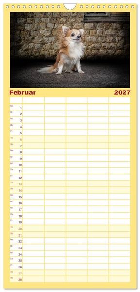 Produktbild: Familienplaner 2027 - Chihuahuas - Cool and Cute mit 5 Spalten (Wandkalender, 21 x 45 cm) CALVENDO