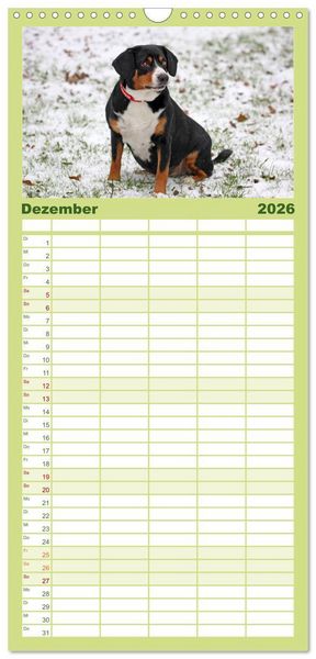 Produktbild: Familienplaner 2026 - Entlebucher Sennenhund - treue Freunde mit 5 Spalten (Wandkalender, 21 x 45 cm) CALVENDO