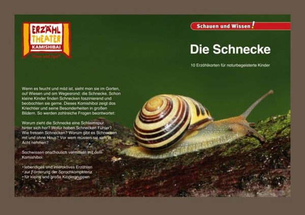 Kamishibai: Die Schnecke