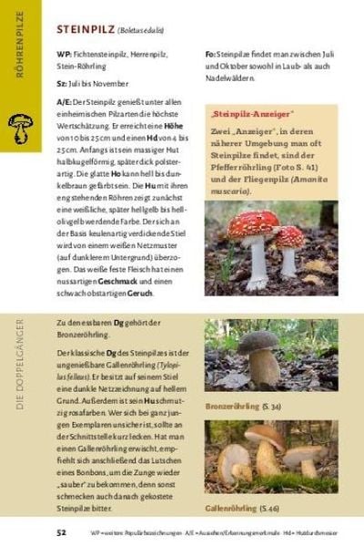 Produktbild: Pilze bestimmen - Der kleine Pilzf&uuml;hrer f&uuml;r Einsteiger und Fortgeschrittene