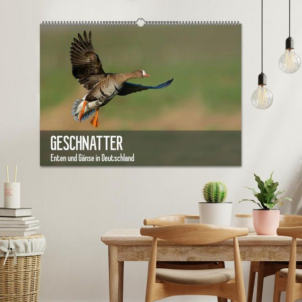 Produktbild: Geschnatter - Enten und G&auml;nse in Deutschland (Wandkalender 2026 DIN A2 quer), CALVENDO Monatskalender