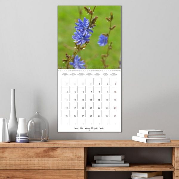 Produktbild: Herbal Haven. Enchanting Healing Plants (Wall Calendar 2026 12 &times; 12 Inch) CALVENDO 12 Month Wall Calendar