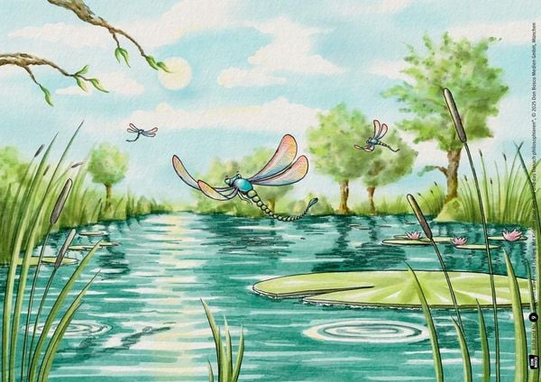 Produktbild: Von Larven und Libellen. Mit Kindern &uuml;ber den Tod und das Danach philosophieren. Kamishibai Bildkartenset