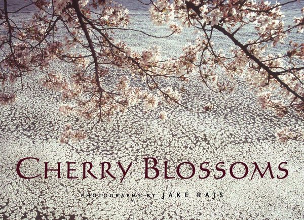 Produktbild: Cherry Blossoms