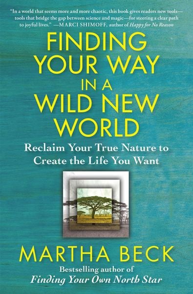 Produktbild: Finding Your Way in a Wild New World
